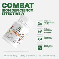 Leeforia Iron and Folic Acid Capsule 30N